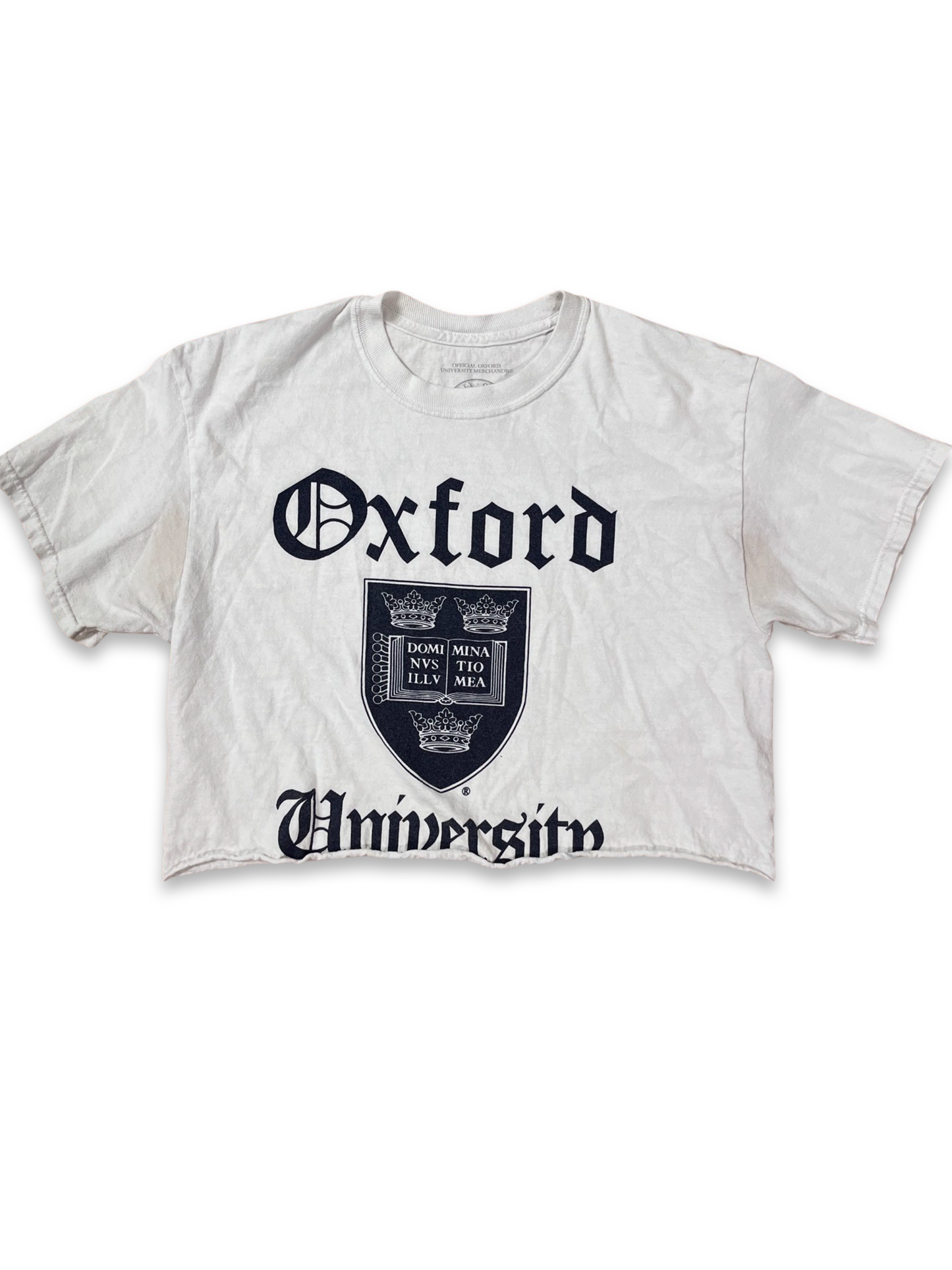 Oxford Cropped Tee - White (S)